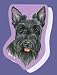 Scottish Terrier Sticky Notes Notebook