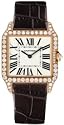 Cartier Santos Dumont Watch WH100351