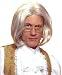 Grey Unisex Pageboy Costume Wig