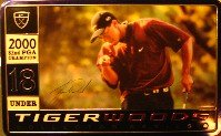 Buy Tiger Woods Collector Series - 2000 - 82nd PGA Champion - 18 Under by Nike Golf