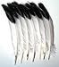 Imitation Eagle Feathers