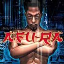 Body of the Life Force by  Afu-Ra 