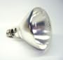 Shat-R-Shield Shatterproof Light Bulbs Infrared Heat Lamp, Clear, 2/Pk., 2/CA