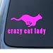 CRAZY CAT LADY - Kitty - Car, Truck, Notebook, Vinyl Decal Sticker #1095 | Vinyl Colo...