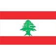 MIDDLE EAST LEBANESE REPUBLIC LEBANON GREEN CEDAR FLAG