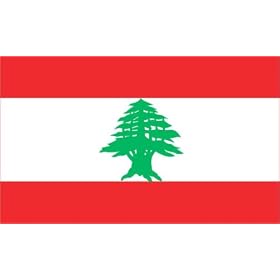 MIDDLE EAST LEBANESE REPUBLIC LEBANON GREEN CEDAR FLAG