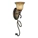 Minka La Cecilia 1 Light Sconce Patina Iron 6141-573