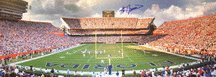 Steve Spurrier Autographed (Swamp) 13.5