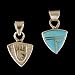 Southwestern Native American Reversible Bear Paw Pendant in Turquoise and 14kt Gold, #TP143