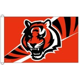 Cincinnati Bengal NFL 3