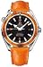 New Omega Seamaster Planet Ocean Mens Watch 2909.50.48