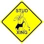 STUD CROSSING sign * street male bodybuilder