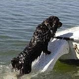 Gamma Skamper-Ramp Water Ramp for Pets super white-color 40" length x 13" width x 6.5" height extension plank included model