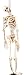 5 Foot Latex Skeleton