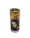 Twilight New Moon  