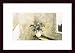 Indian Creek Bouquet, Art Poster by Philip Jamison, with Wood Frame, poster size: 9