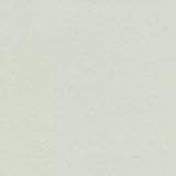 ADP Cardstock 8.5 x 11 - RECYCLED MINT Single Sheet