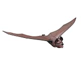 National Geographic Flying Bat