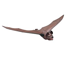 National Geographic Flying Bat