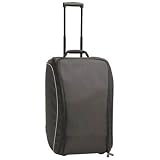 HP - Projector carrying case