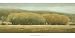 Billow Art Poster Print by Shanna Kunz, 40x20