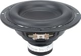 Tang Band W5-1138SM 5-1/4 Neodymium Subwoofer