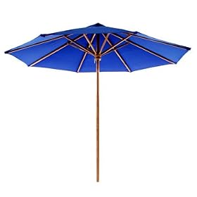 10 Foot Teak Umbrella