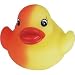Colour Changing Duck