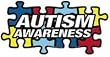 Autism Awareness Puzzle Car Magnet 8" X 4" Autism Awareness Puzzle Piece Car Magnet