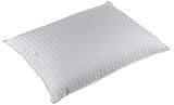Royal Velvet Signature European White Goose Down Standard Pillow
