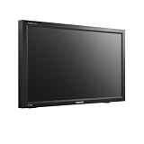 32 LCD Monitor with speakers