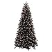 Vickerman 14267 7.5 x 52 Black Ashley Spruce Slim 750 Clear Lights Christmas Tree (K863076) 312DOMH 08L. SL75 Vickerman 14267 7.5 x 52 Black Ashley Spruce Slim 750 Clear Lights Christmas Tree (K863076)