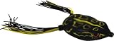 Bronze Eye Frog 65 Rainforest Black Frog