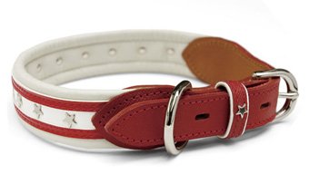 犬用首輪 アポロカラー レッド 23サイズ birdie