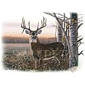 Autumn Proud-Deer 30 Adult Long Sleeve T-Shirt