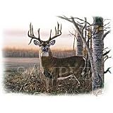 Autumn Proud-Deer 30 Adult T-Shirt