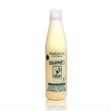Salerm 21 B5 Silk Protein 8.6 oz (250 ml)
