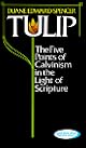 Tulip: The Five Points of Calvinism in the Light of Scripture