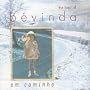The Best Of Bevinda - Em Caminho