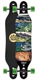 Arbor Axis Printed Grip Tape Skateboard Completes, 40 x 8.75 x 30-Inch