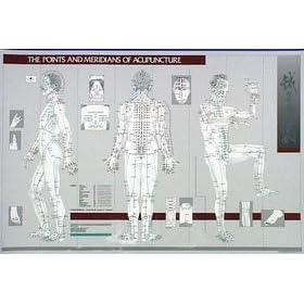 Acupuncture Chart - Points & Meridians of Acupuncture