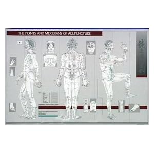 Amazon.com: Acupuncture Chart - Points & Meridians of Acupuncture: Office Products
