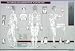 Acupuncture Chart - Points & Meridians of Acupuncture