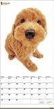 HCL-728 THE DOG�ס��ɥ륫������2006

 &nbsp;(�ϥ�����)&nbsp;