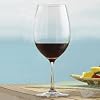 Polycarbonate Wine Glasses Set of 4