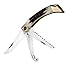 Browning Knives 524 Big Game II Knife with Sambar Stag Handles