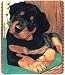 Rottweiler Puppy Mousepad