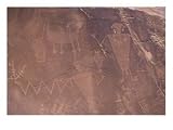 Ancient Petroglyphs Decorate a Wall with Native Art, Dinosaur National Monument, UT/Colorado Border Photographic Poster Print by Taylor S. Kennedy, 16x12