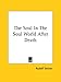 Book The Soul in the Soul World After Death