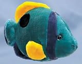 Plush Green ButterflyFish 12